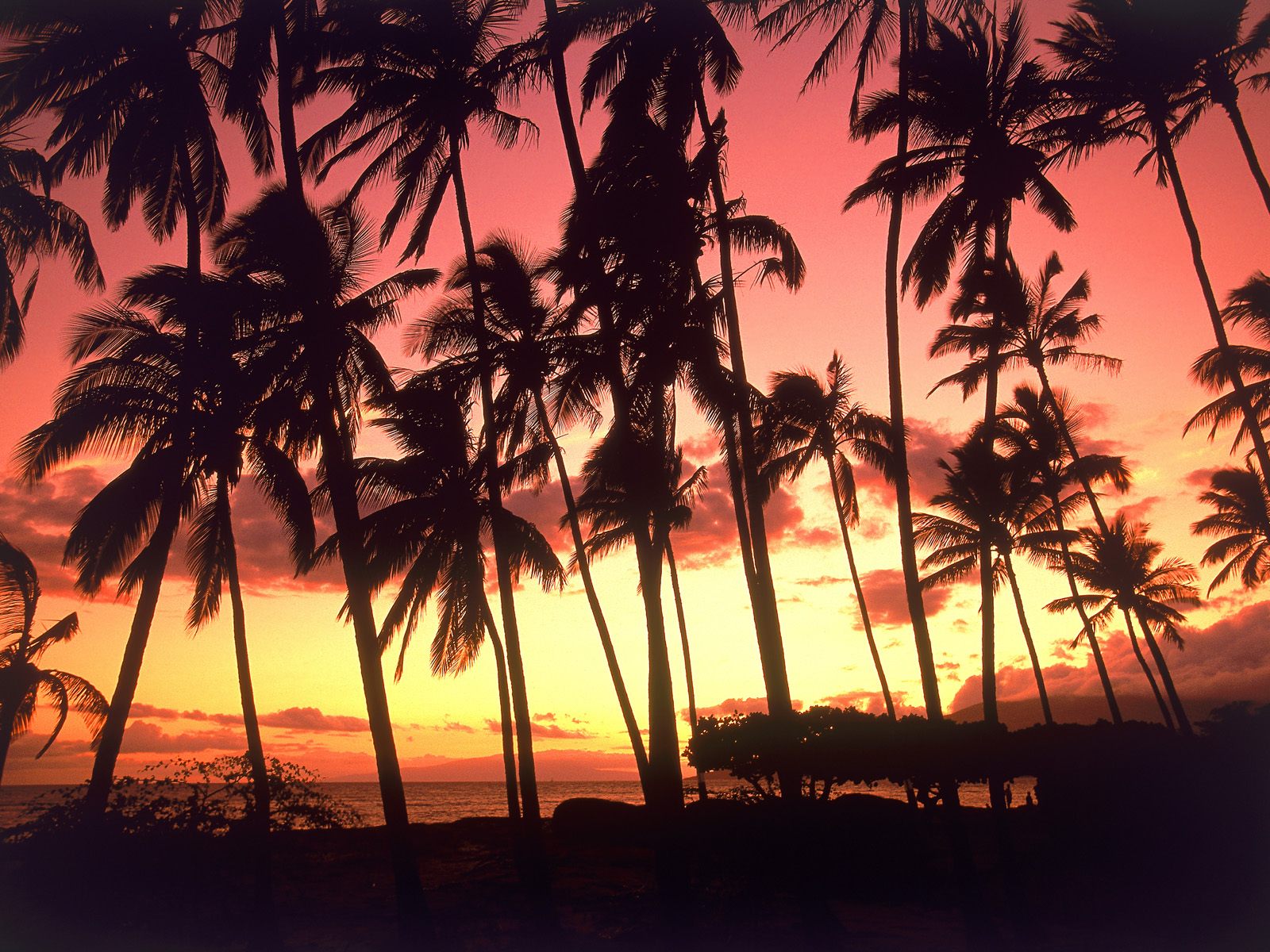 Hawaii Sunset wallpaper Galleries